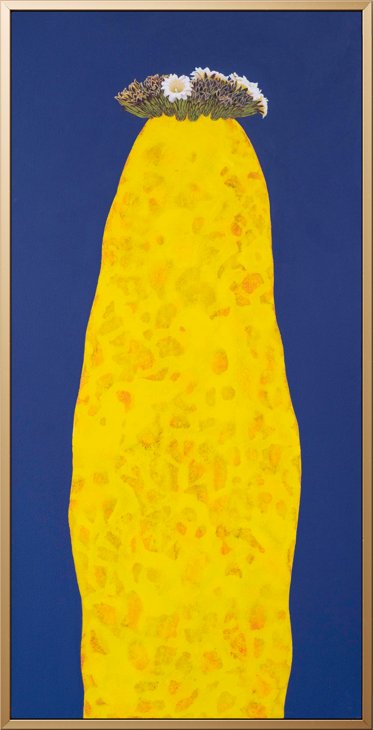 KakaoTalk_20251017_063417174