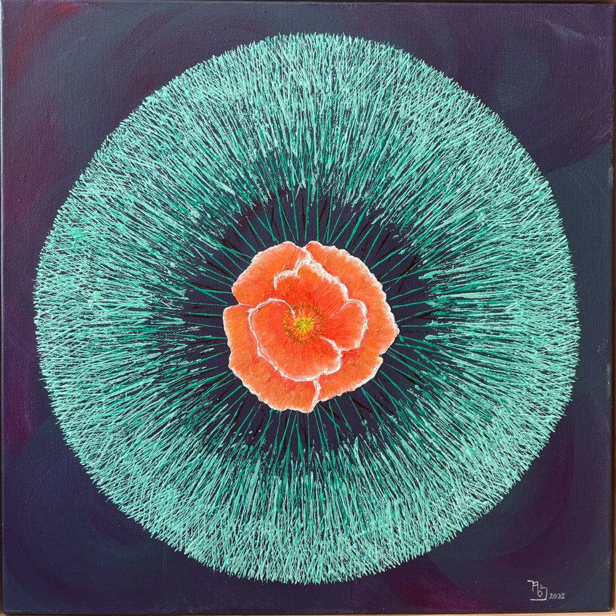 KakaoTalk_20251103_174721783