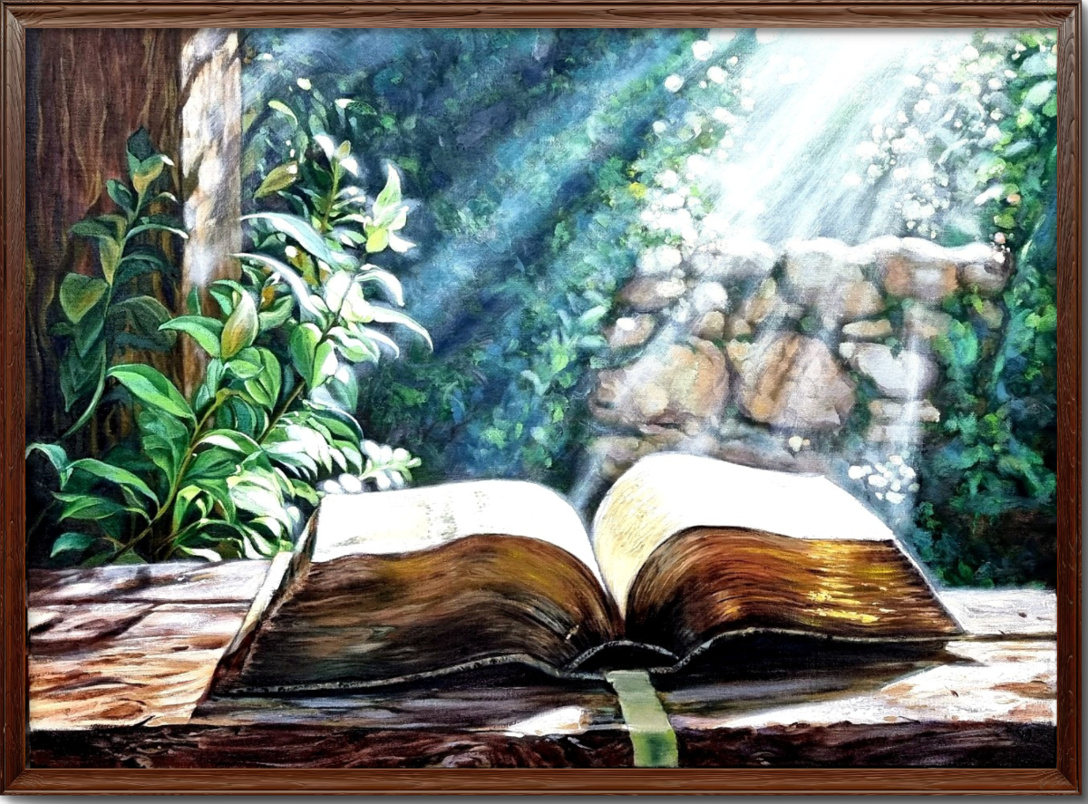 3dce5000-a034-11f0-b181-e961c5d47137