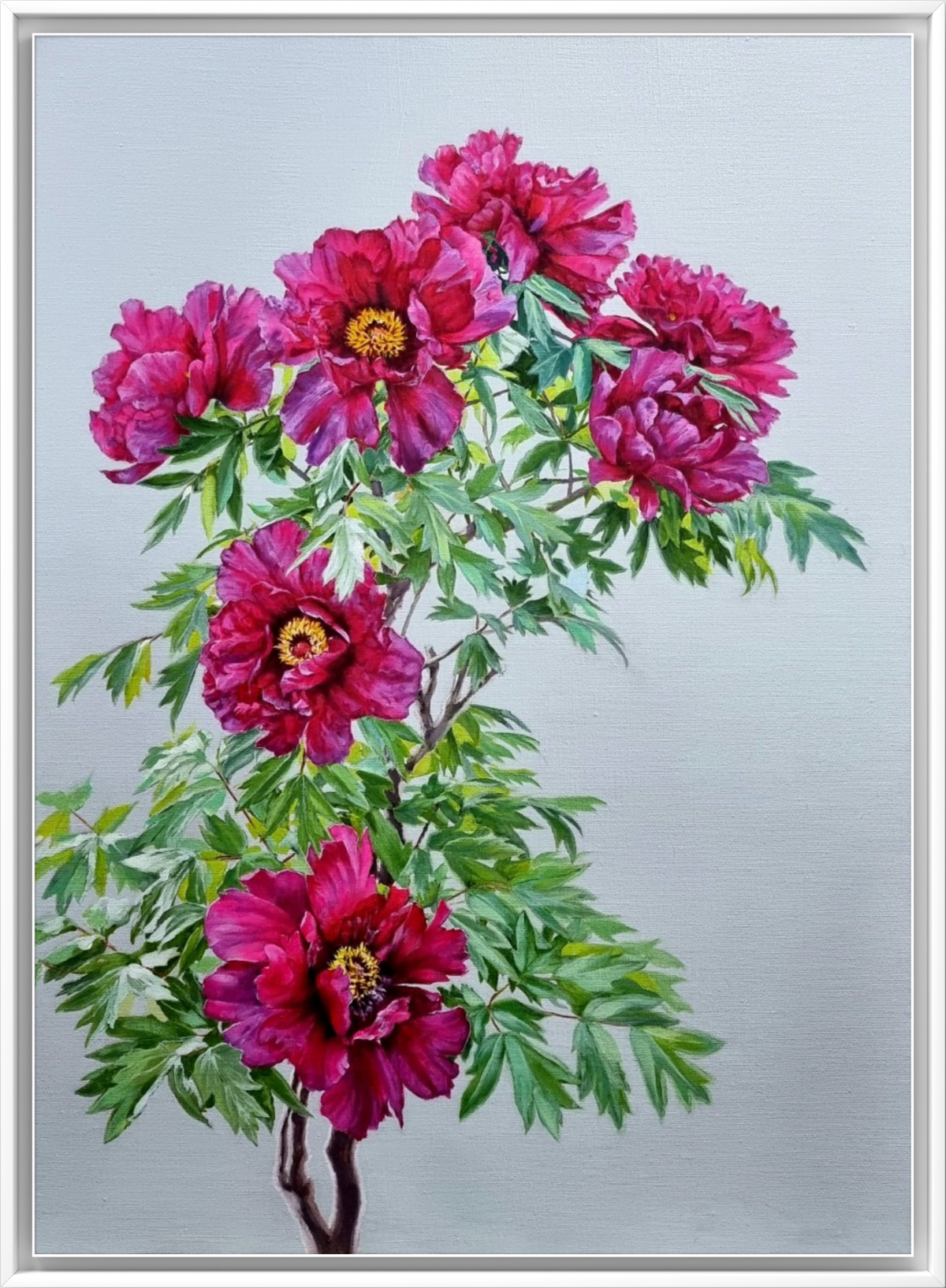 108f4020-a040-11f0-b181-e961c5d47137