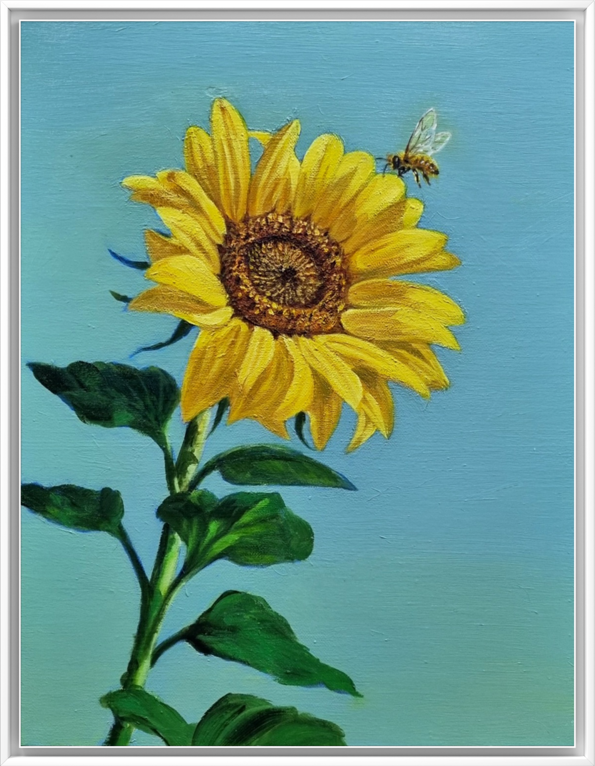 e45483c0-a905-11f0-ae7f-5348e1ea4a47