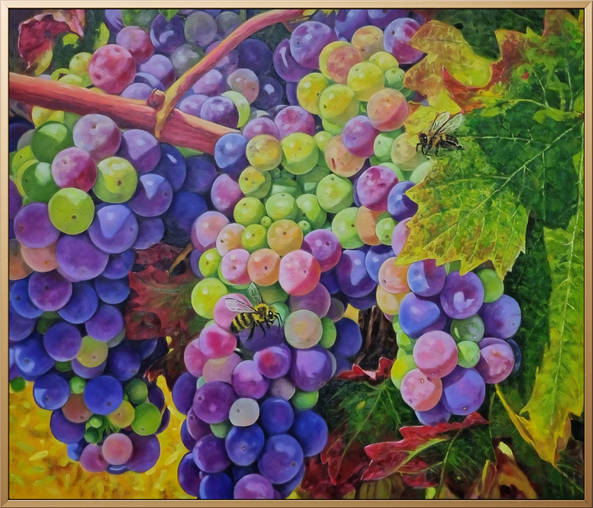 44d88b40-a908-11f0-ae7f-5348e1ea4a47