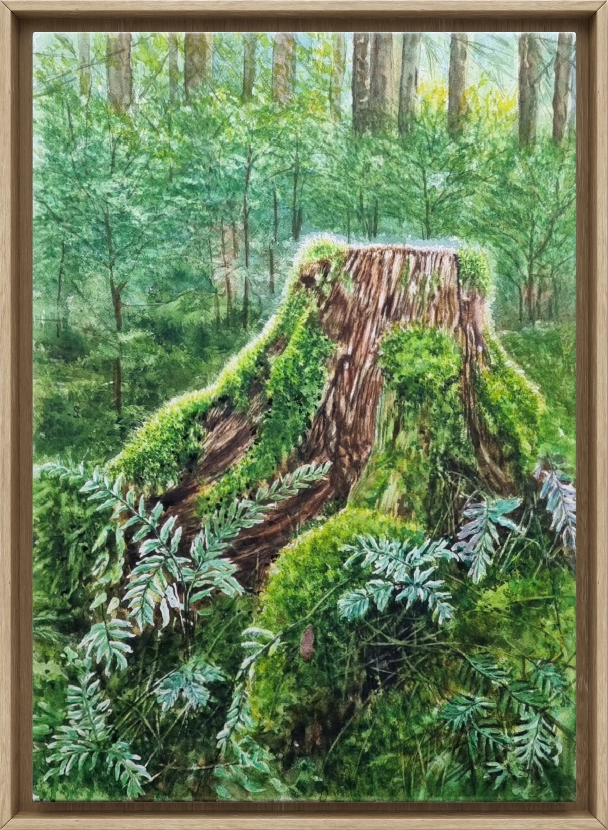 59ec3630-aa7a-11f0-b453-b51e65dbffc6