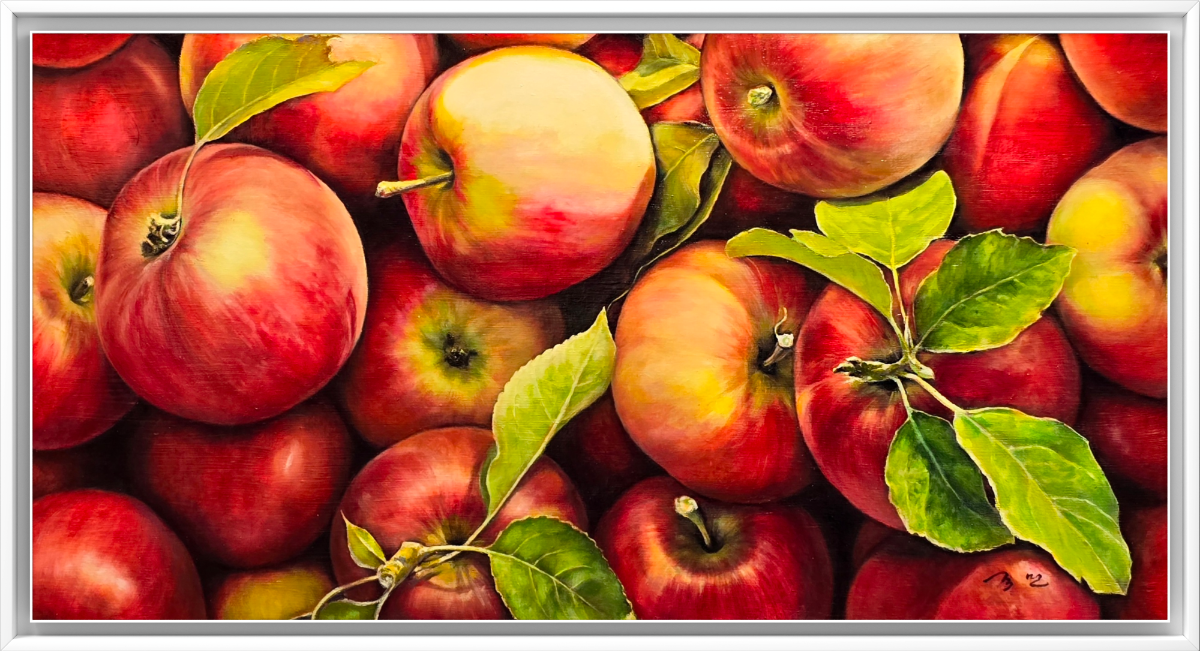 b87d1720-aed8-11f0-8896-ed9104fef97c