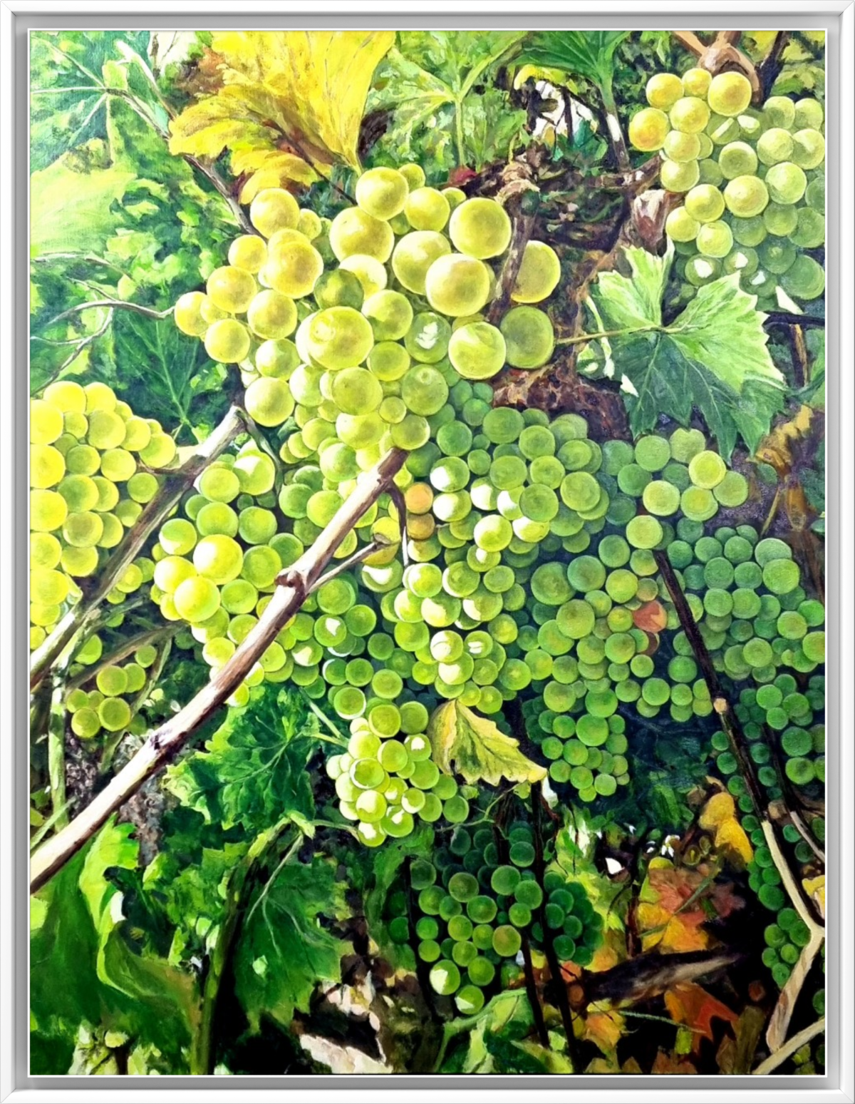 a81f0200-aff8-11f0-b5e5-8951478813f0