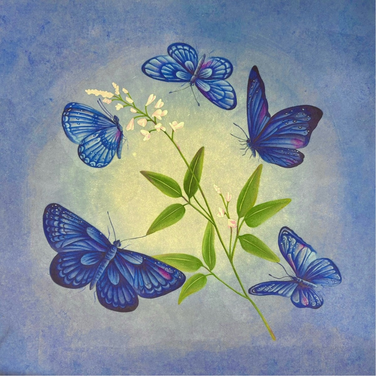 KakaoTalk_20260107_143454659